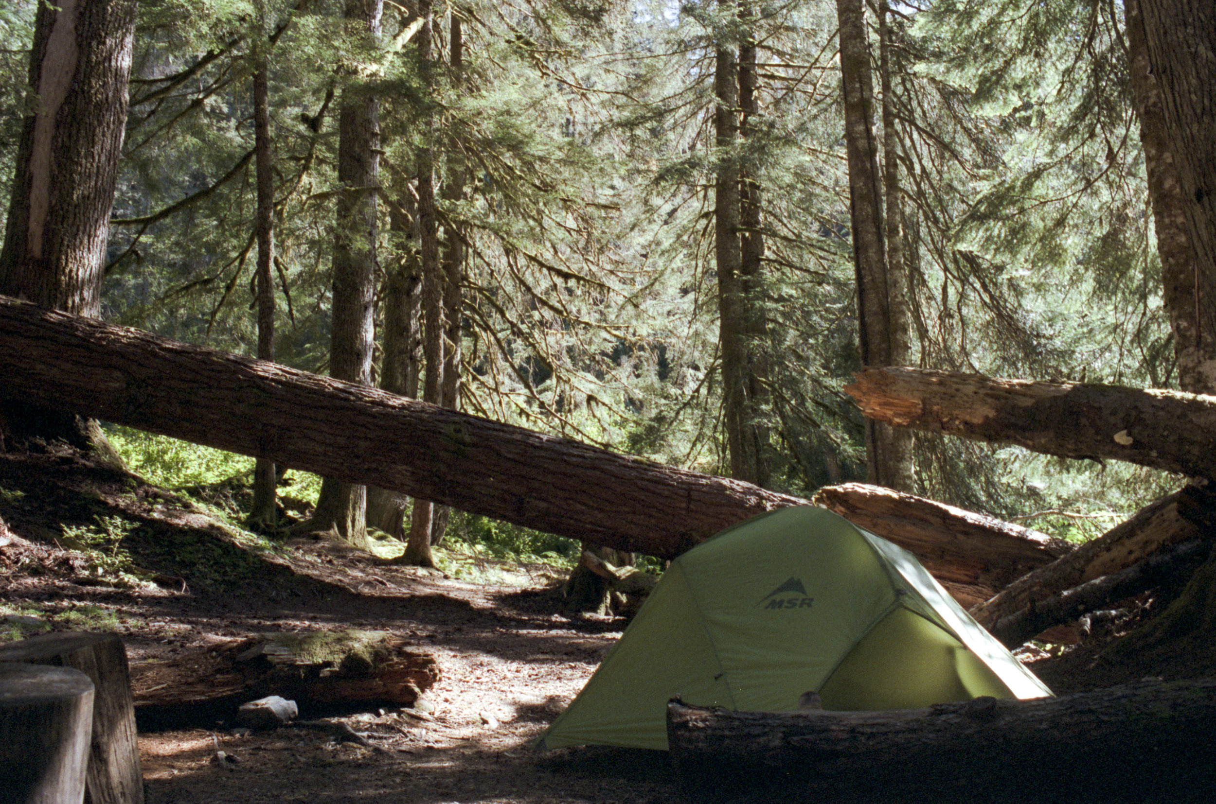 Martin Creek Camp