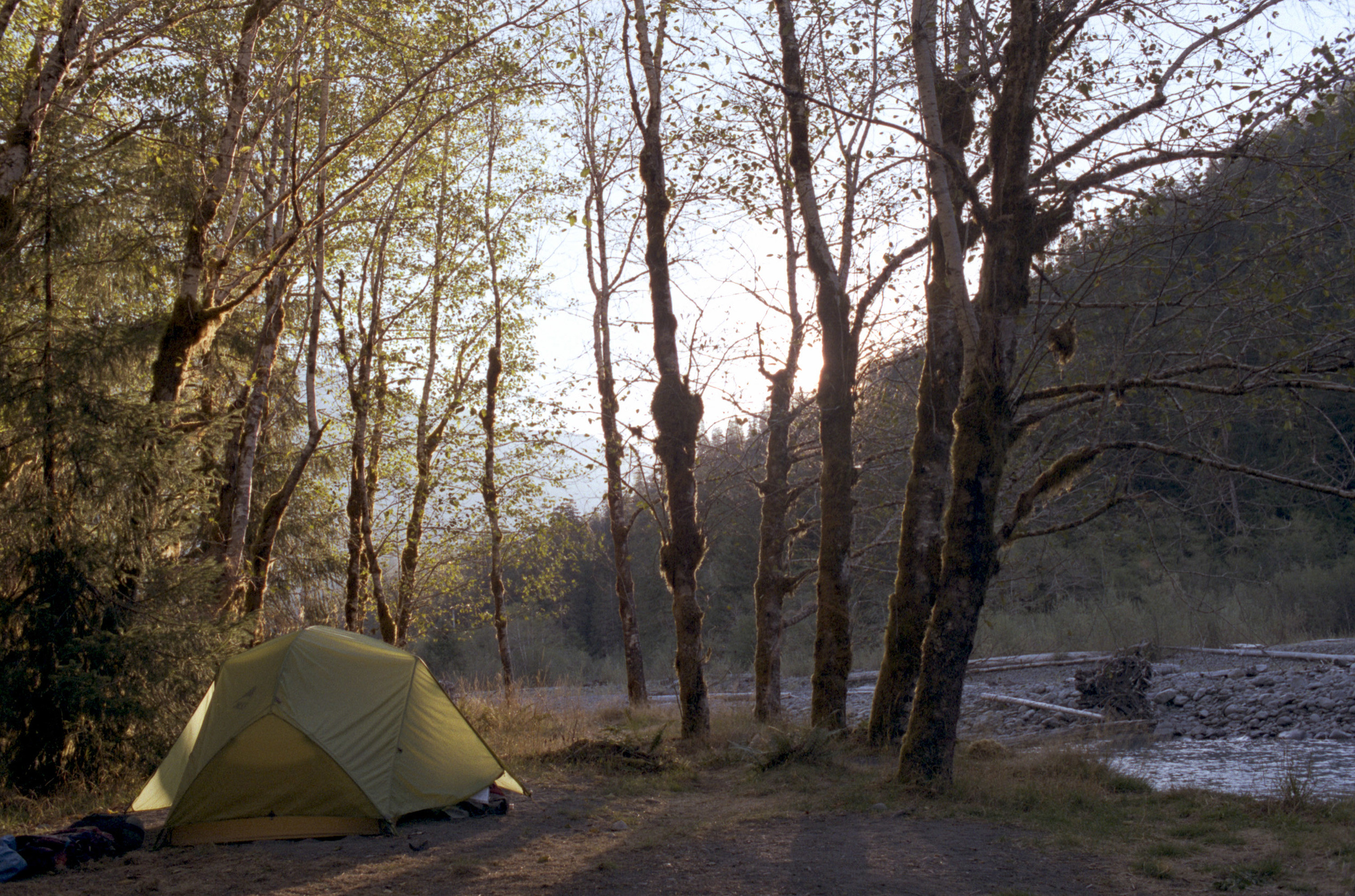 Lewis Meadows Camp