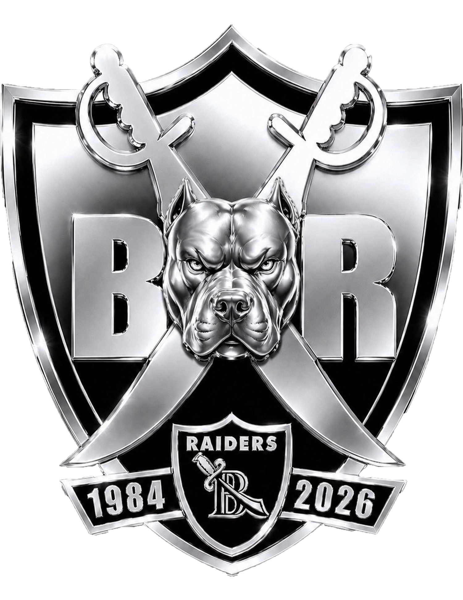Bayside Raiders 