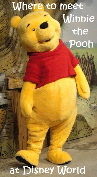 Winnie the Pooh at Walt Disney World