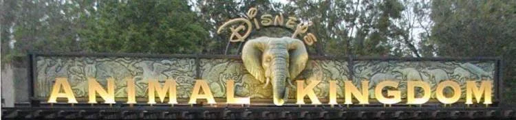 Disney Princesses at Disney World's Animal Kingdom — Build A Better