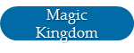 Princesses at the Magic Kingdom