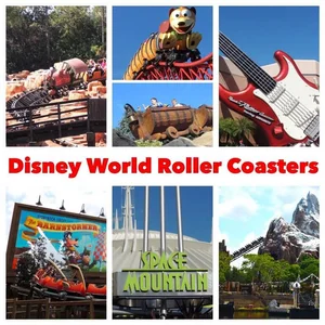Disney World Roller Coasters
