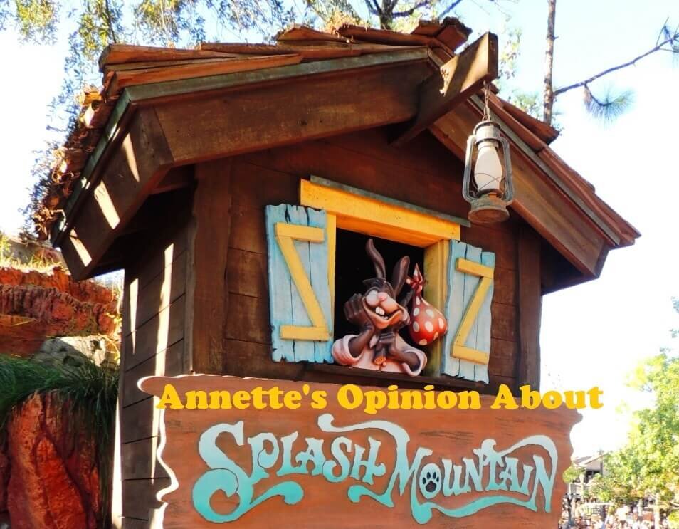 Disney's Splash Mountain ride Prop Replica Inspired Sign 
