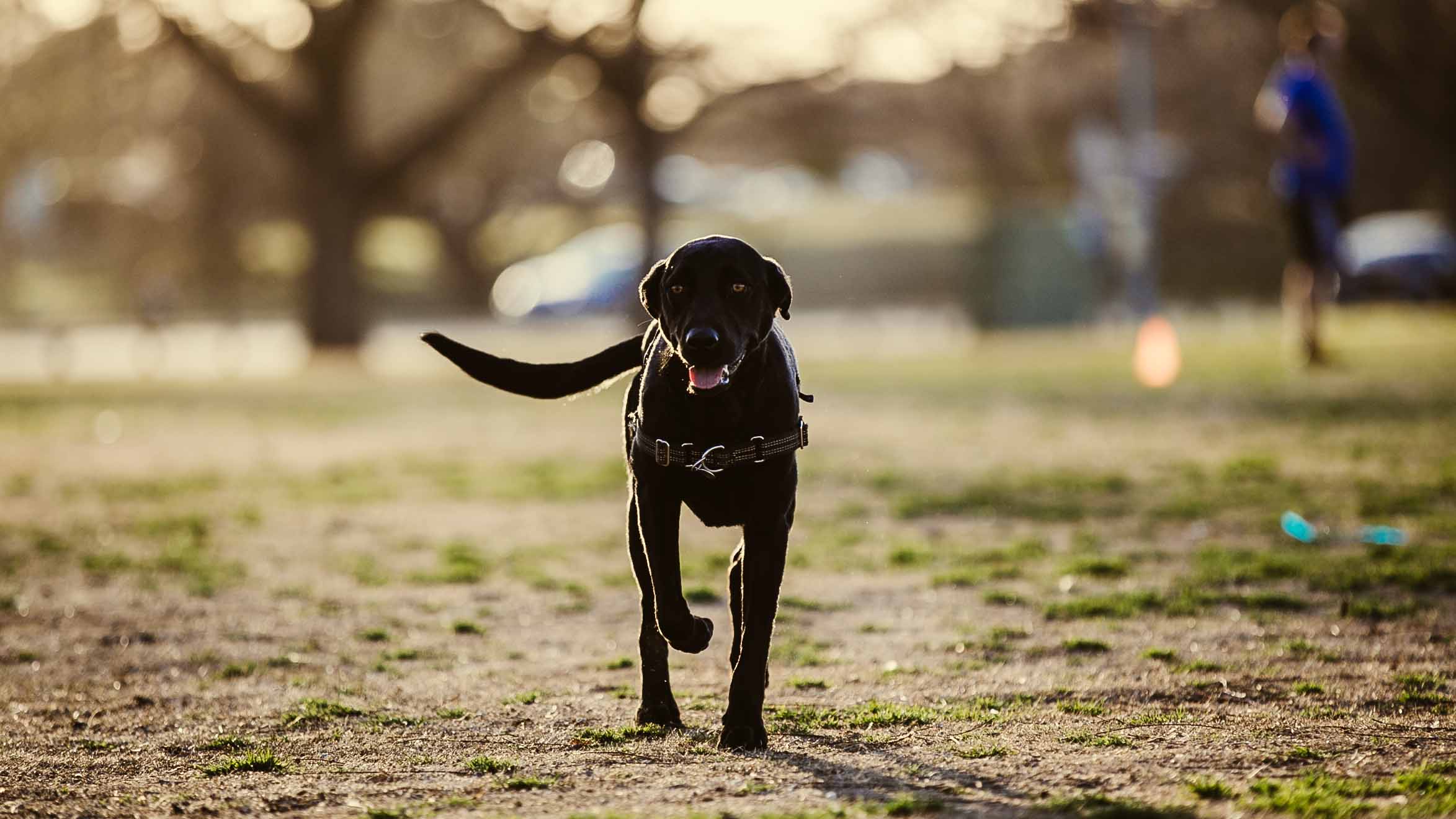 Frisbee addiction-19.jpg