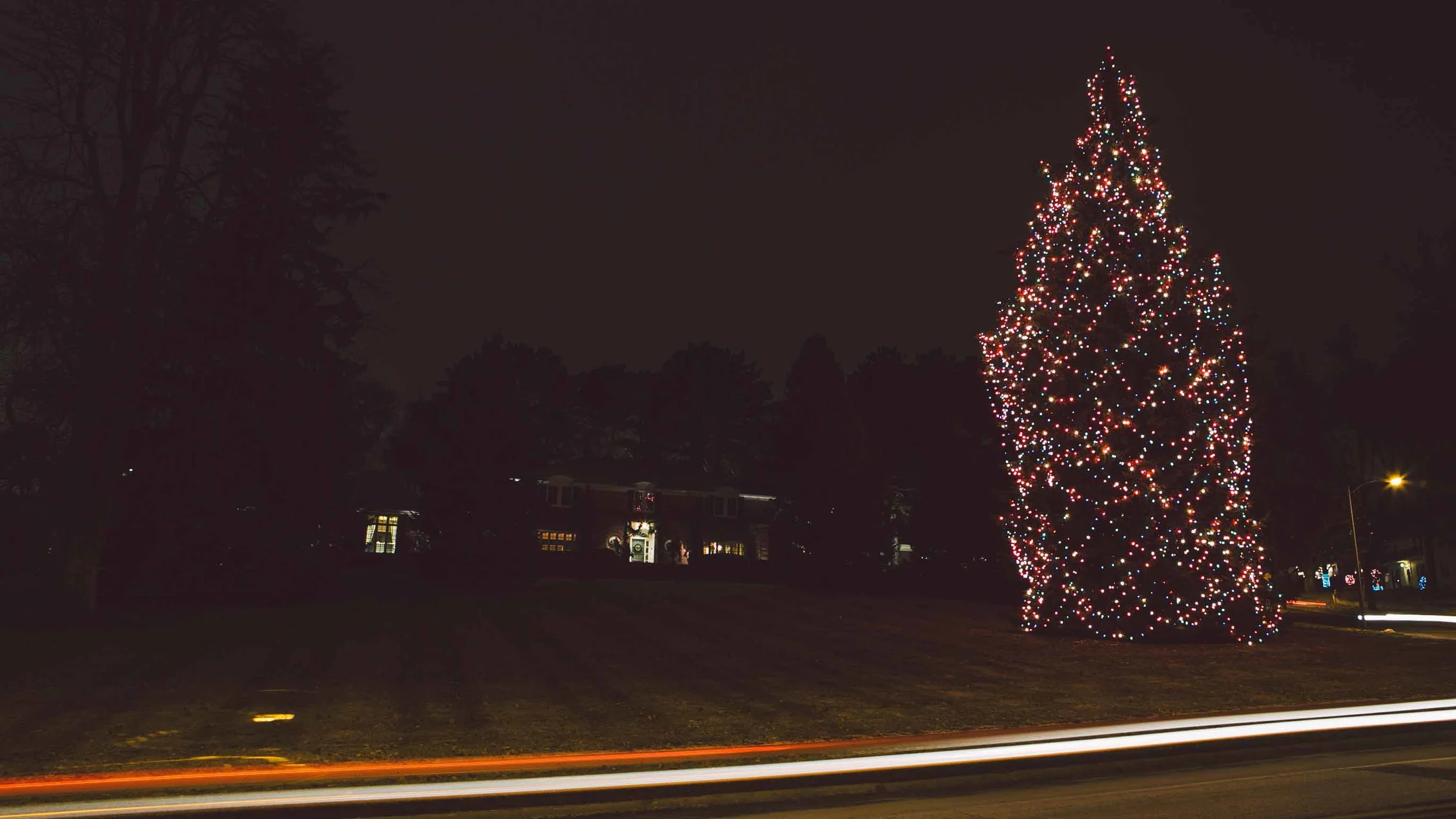 xmas-92.jpg