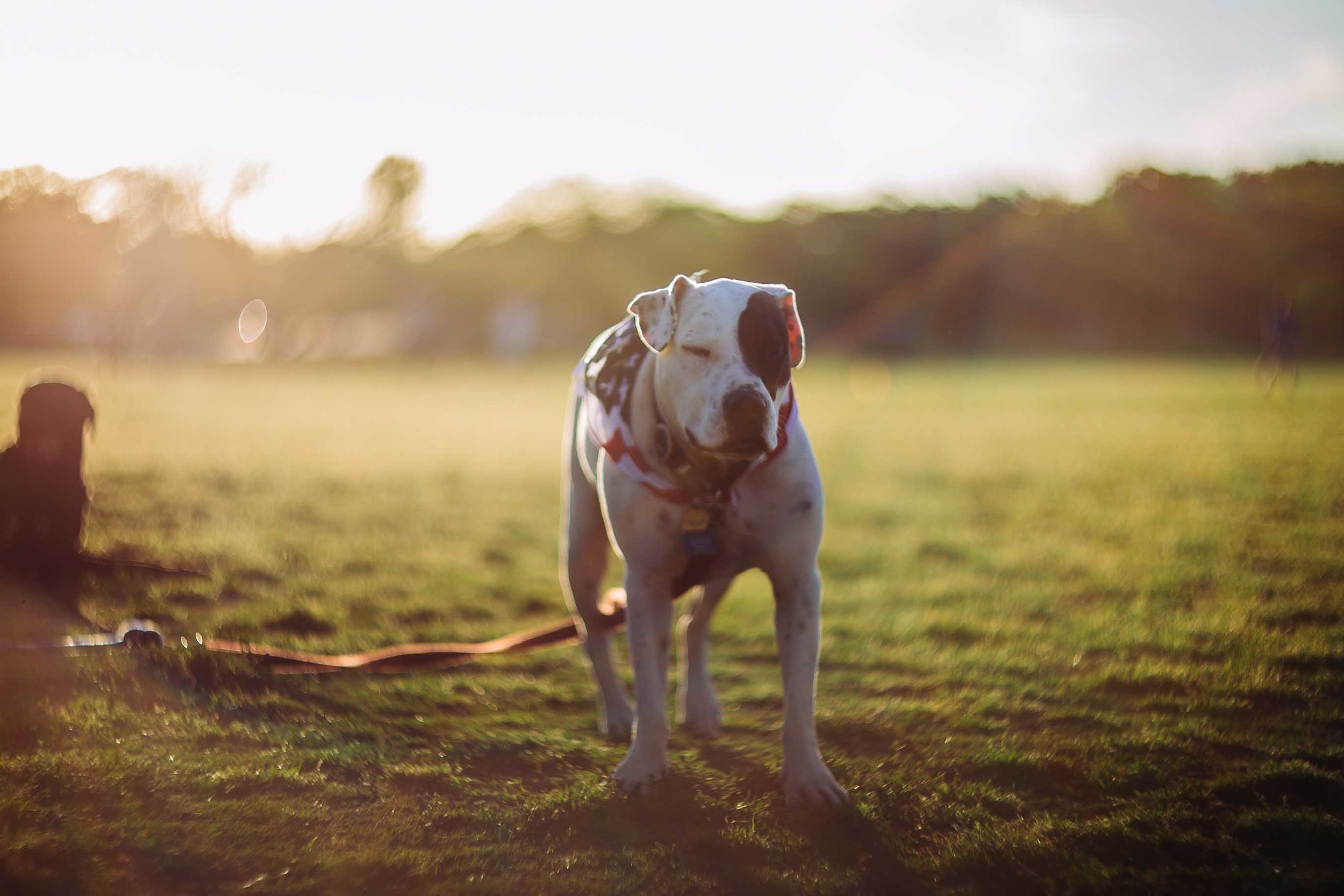 frisbee-10.jpg