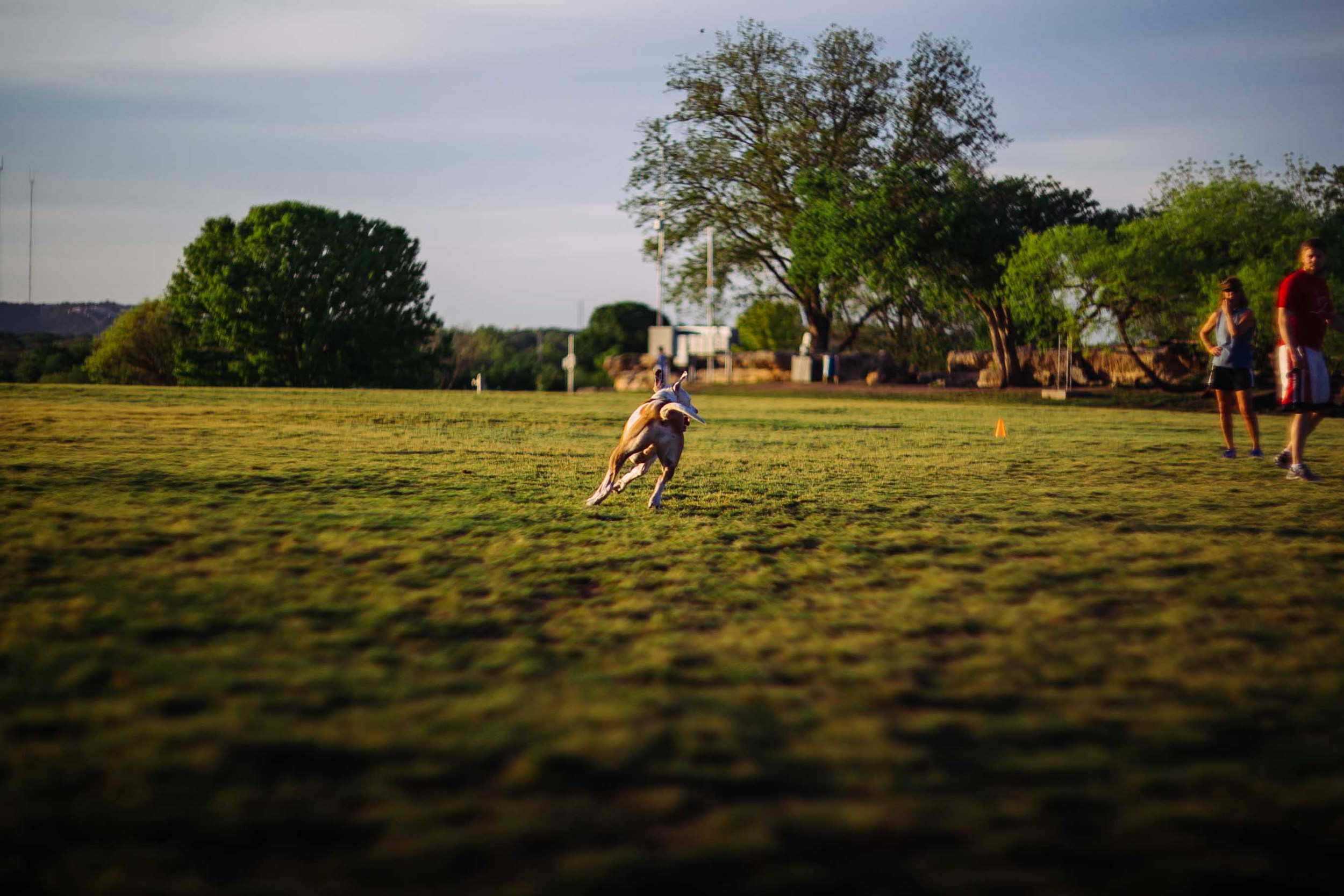 frisbee-16.jpg