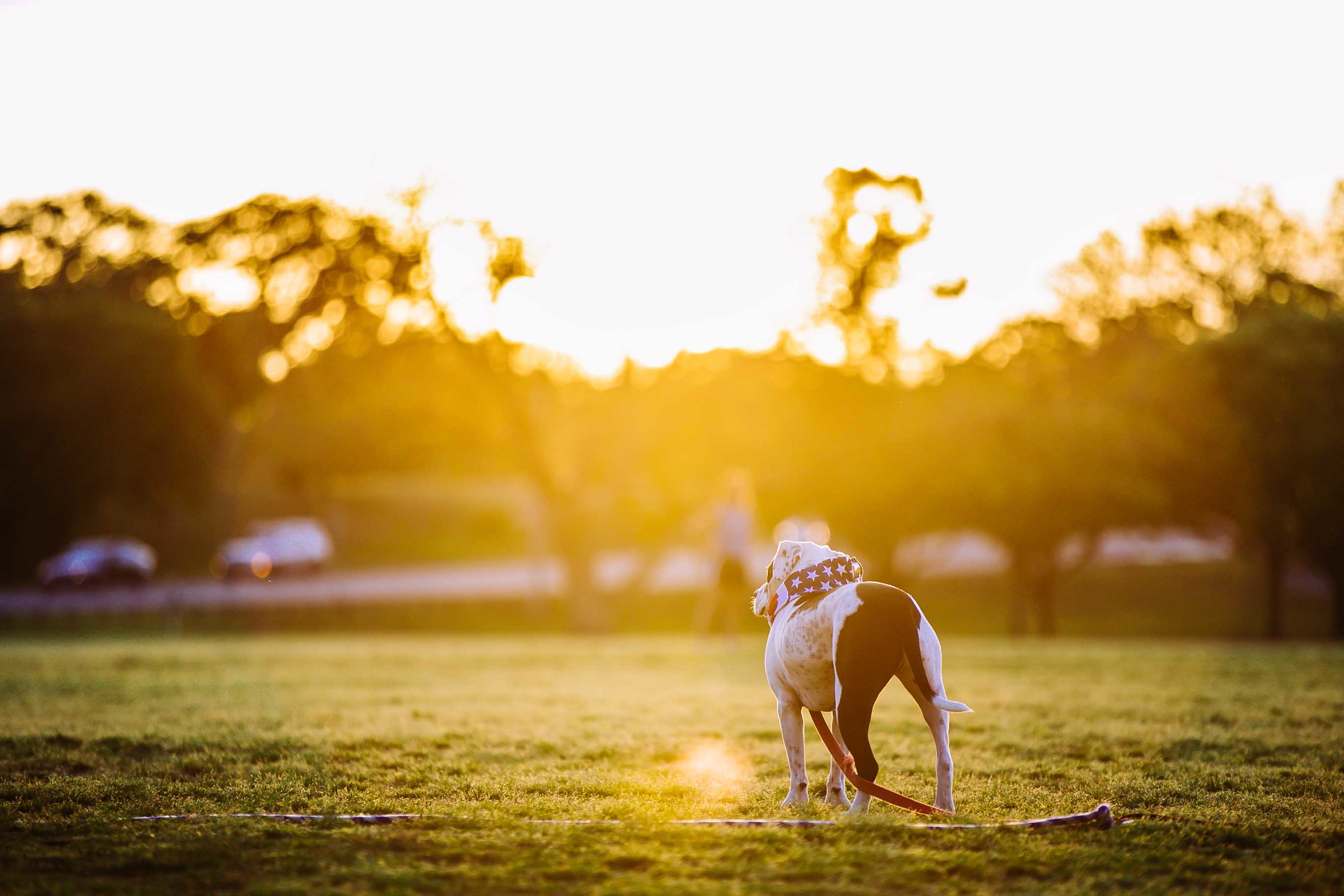 frisbee-32.jpg