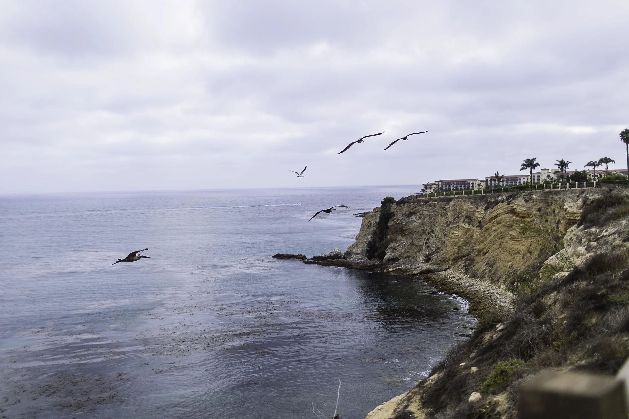 tx to big sur web-42.jpg