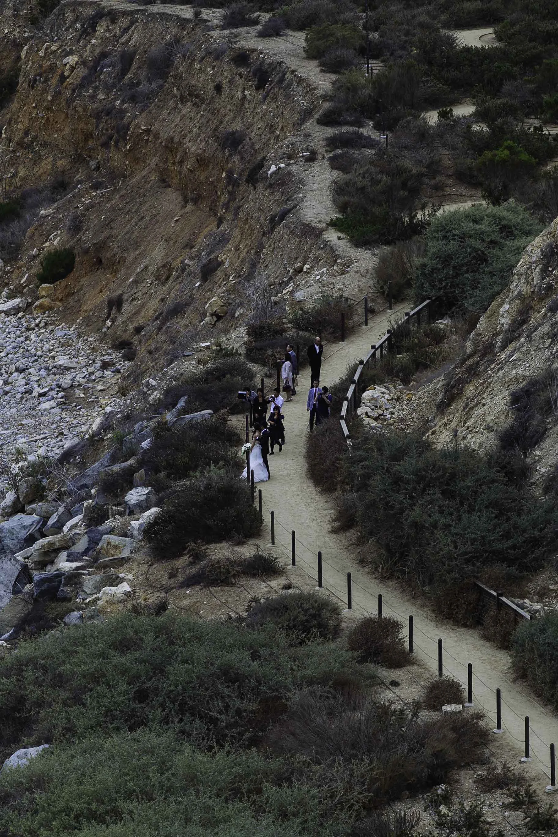 tx to big sur web-43.jpg