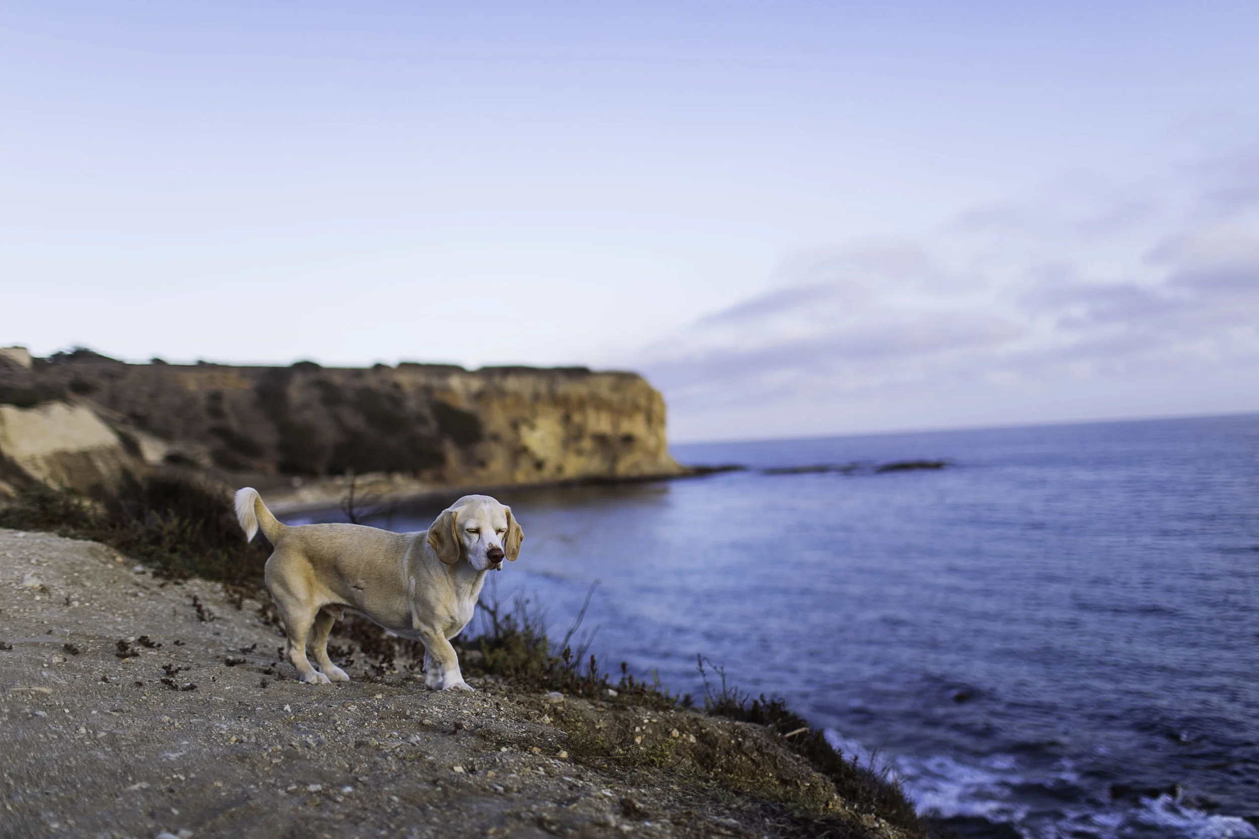 tx to big sur web-76.jpg