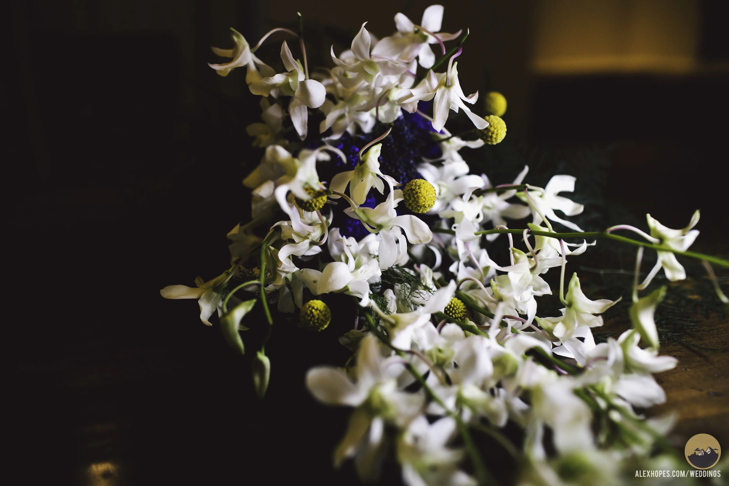 Zach and Aly Wedding Finals-130.jpg