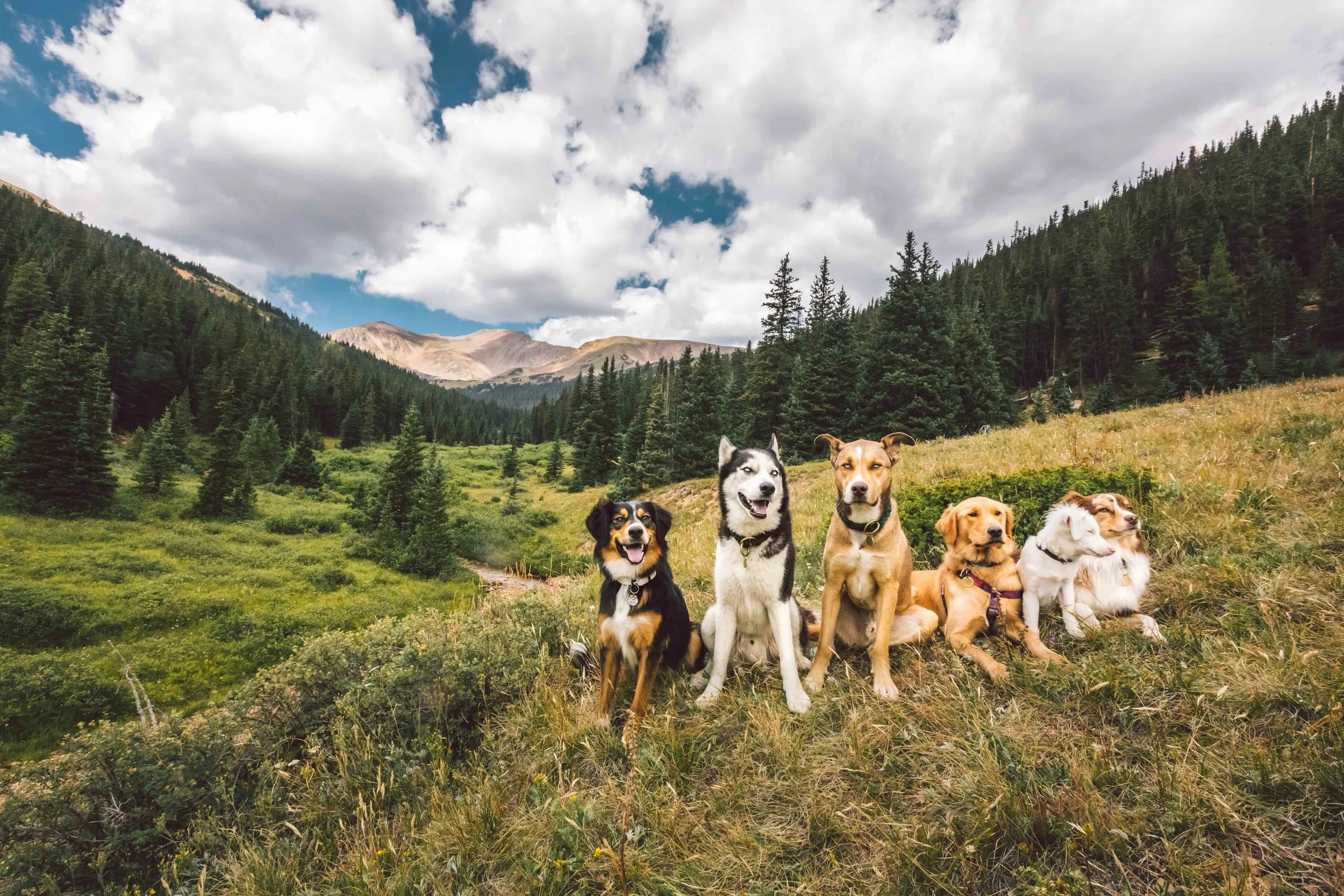 Herman Gulch Web Friendly-24.jpg