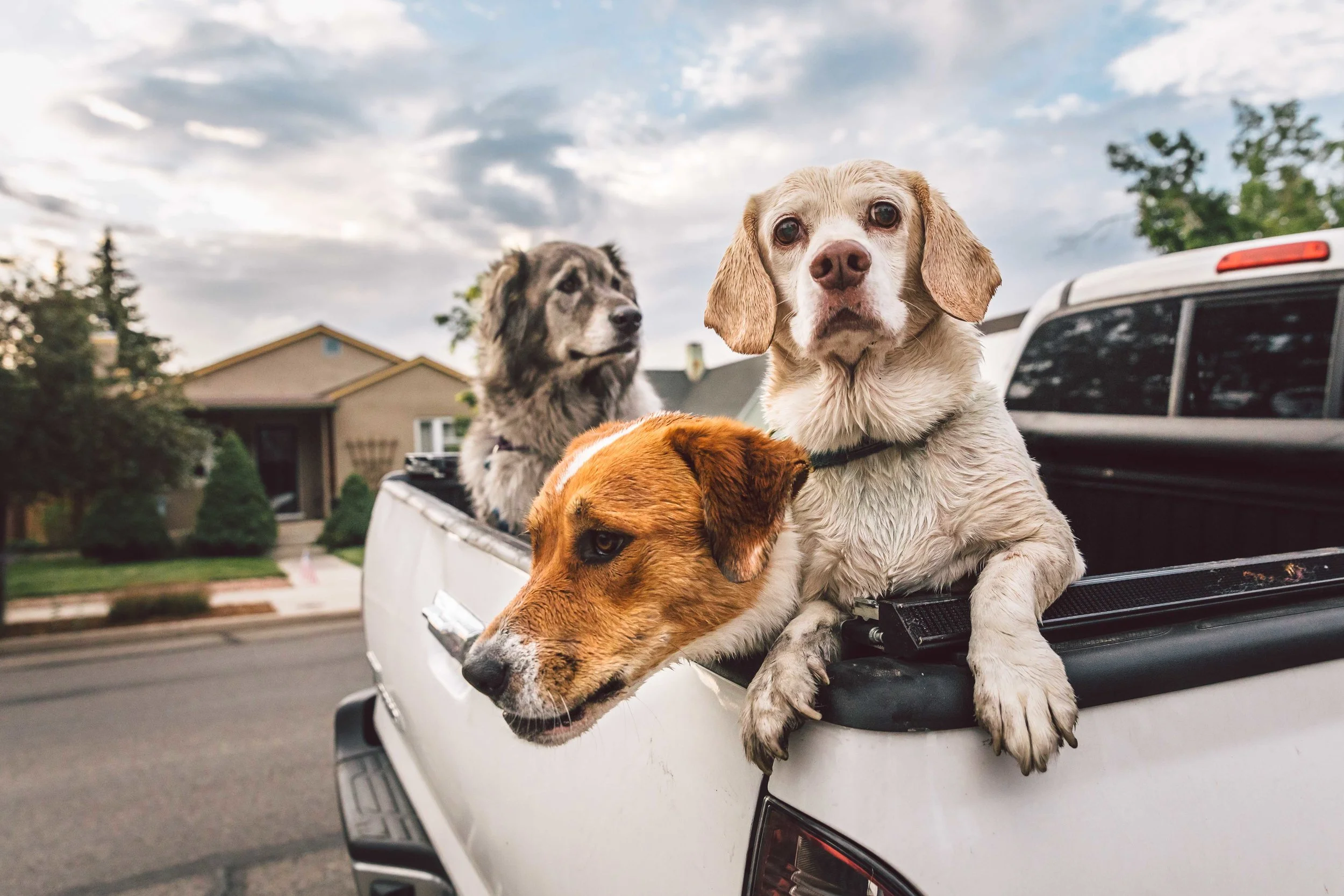 2019 Portfolio-13.jpg