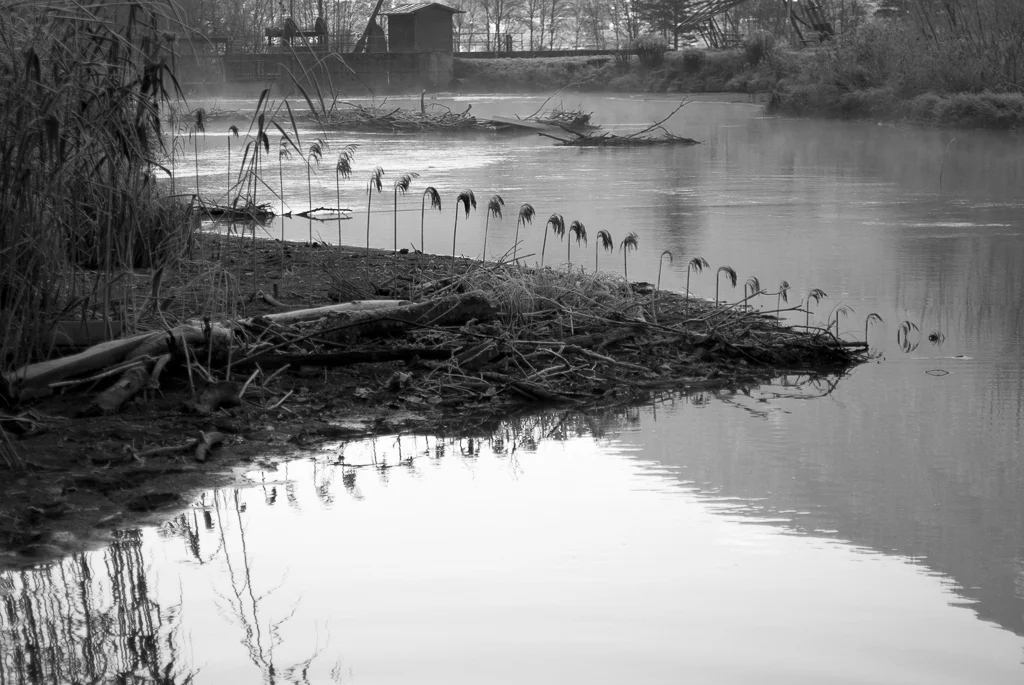 landart