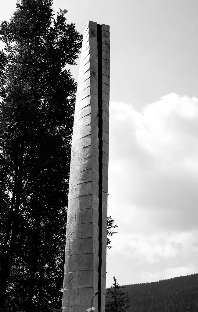 portät eines baumes