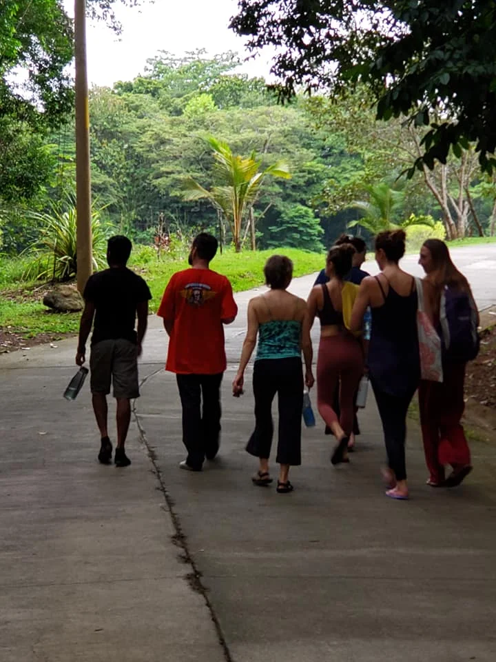 walking.jpg