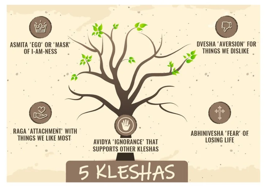 Reduce Suffering by Learning About the Kleshas 