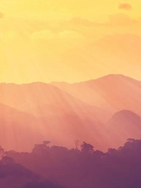 Personal Shifts 2020