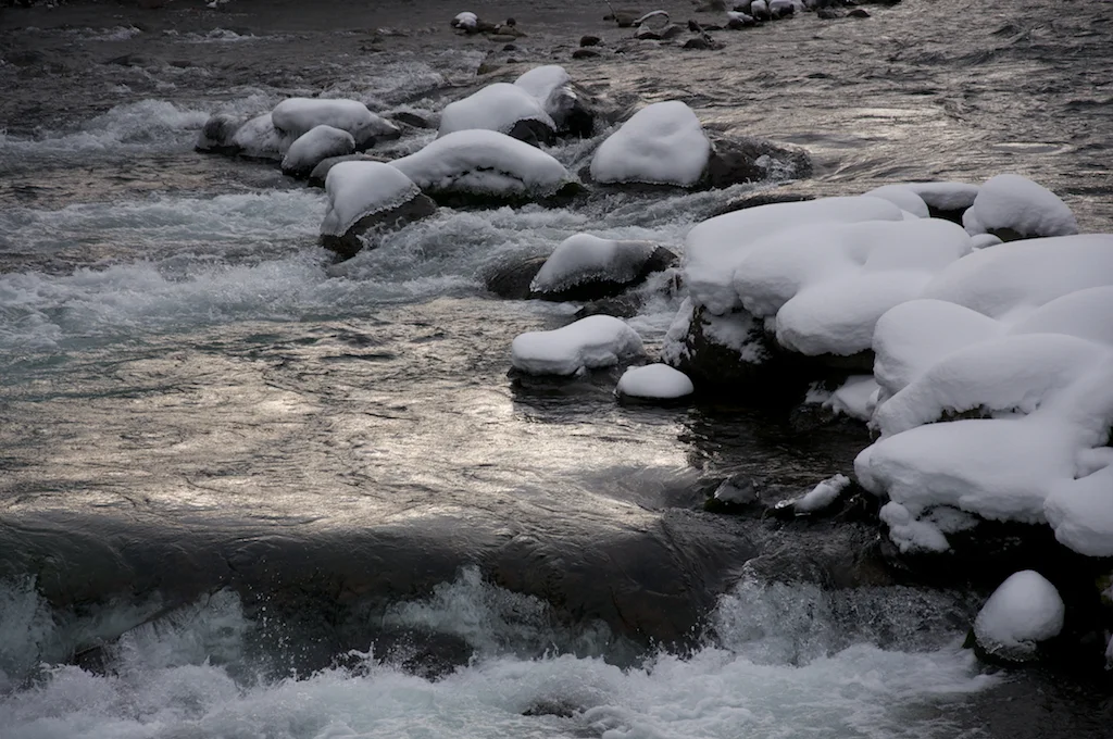 DSC_0024.jpg