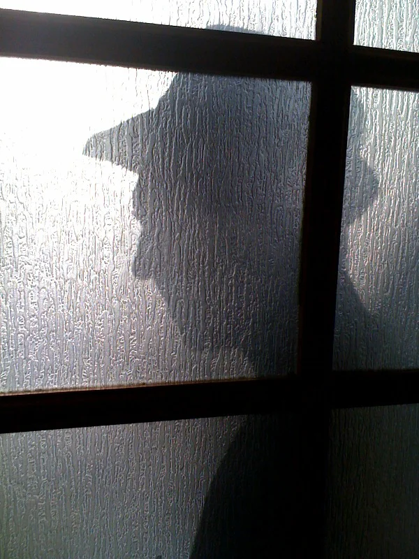 Fedora shadow.jpg