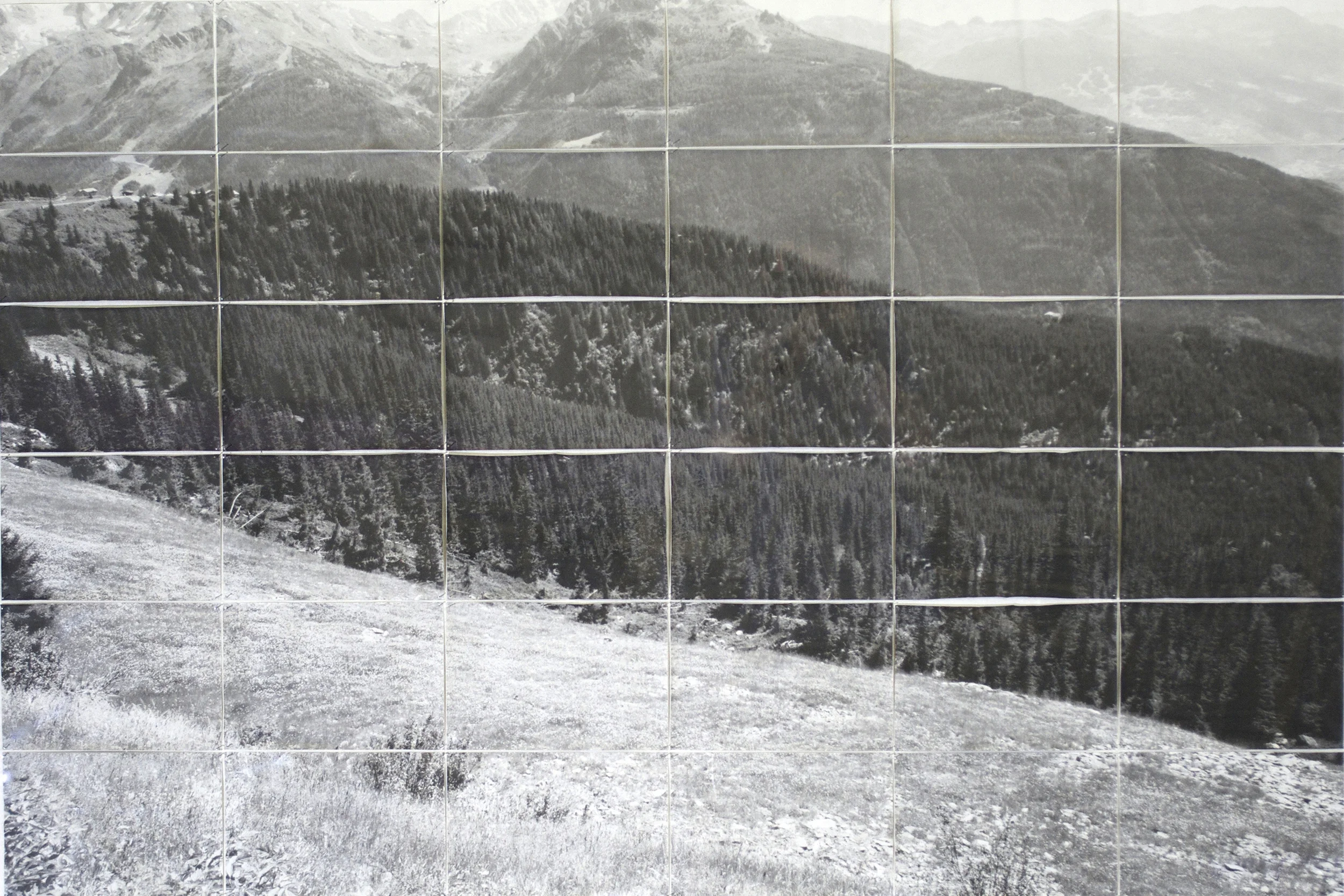 Image3.jpg