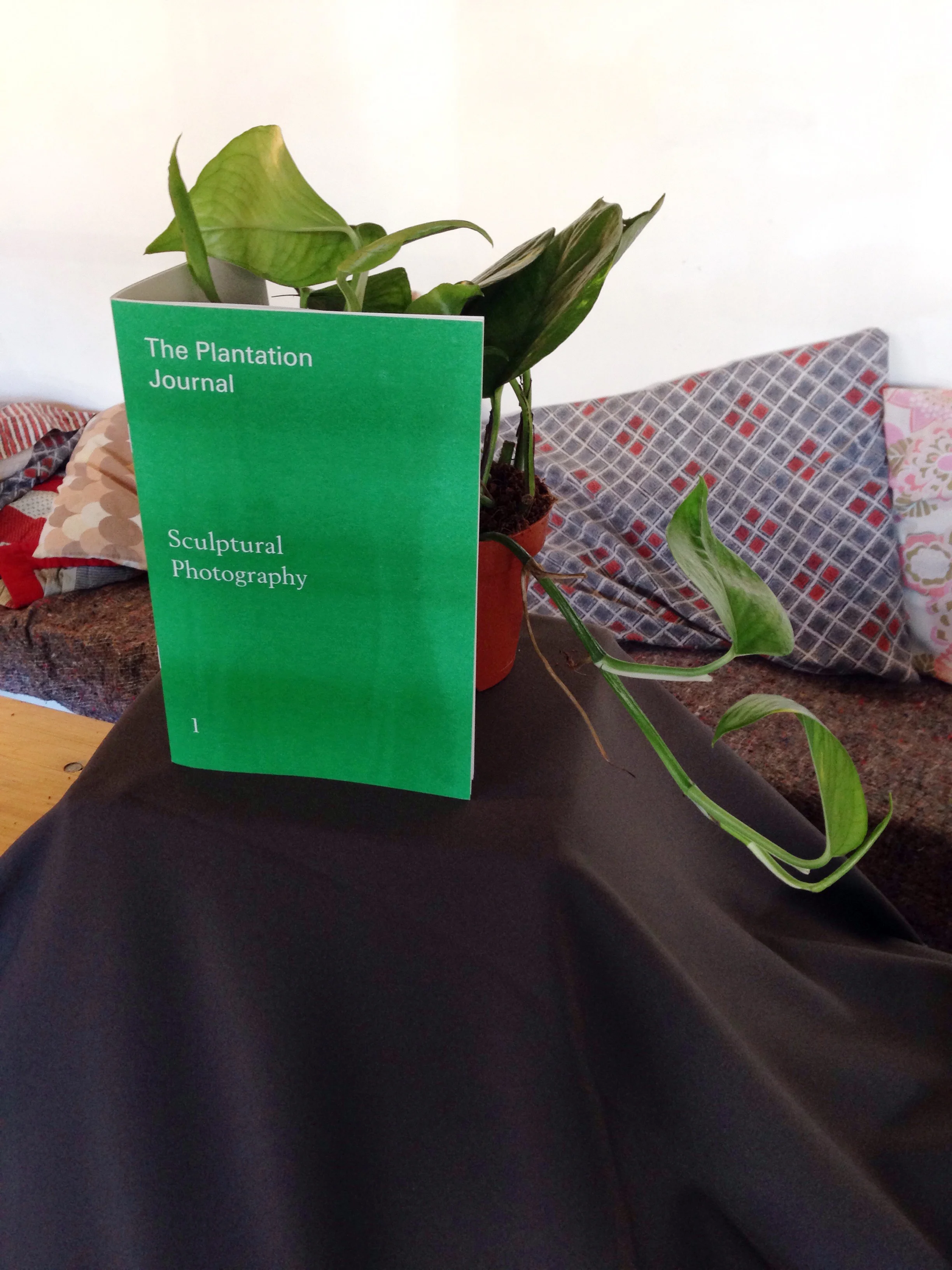 2015-03-07 12.06.39-1.jpg