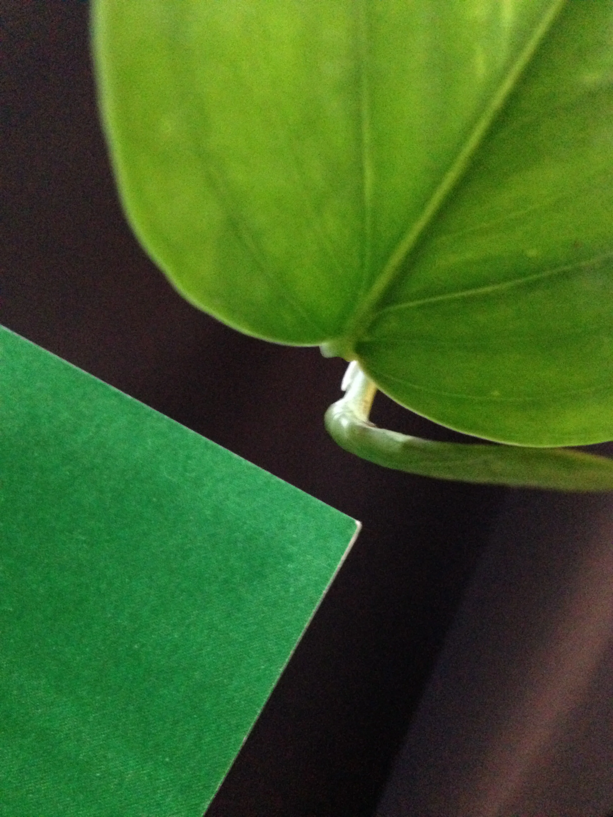 2015-03-07 14.50.27.jpg