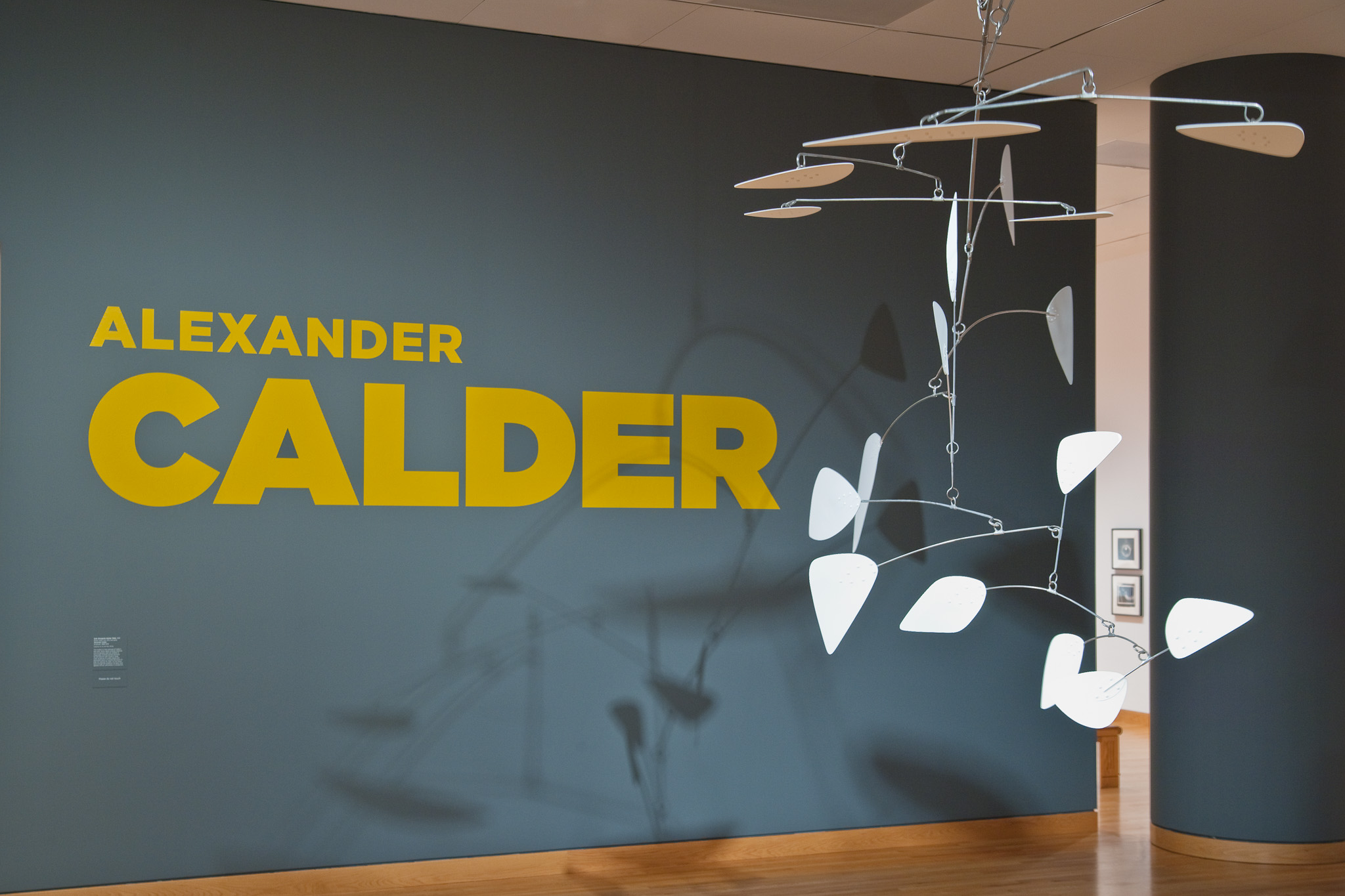  Calder Installation Photography 