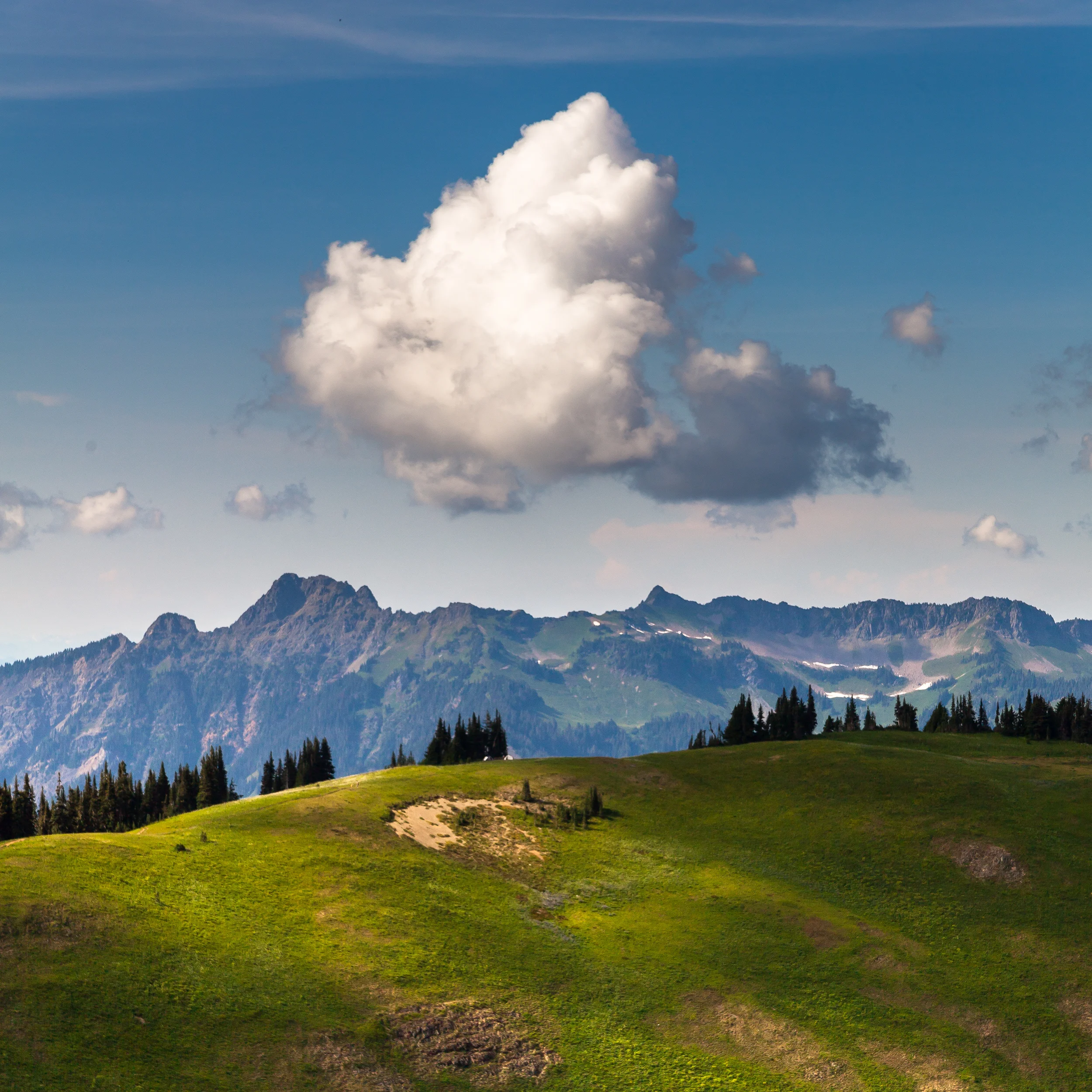 Skyline Divide in Color #1