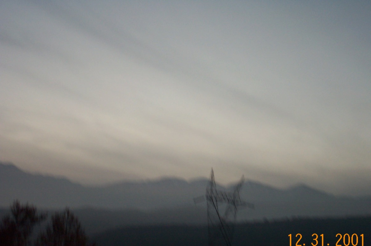 dcp_2399.jpg