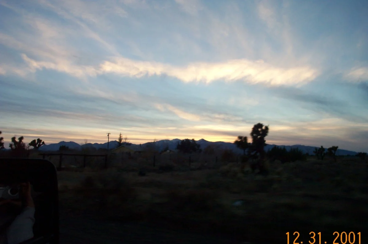 dcp_2390.jpg