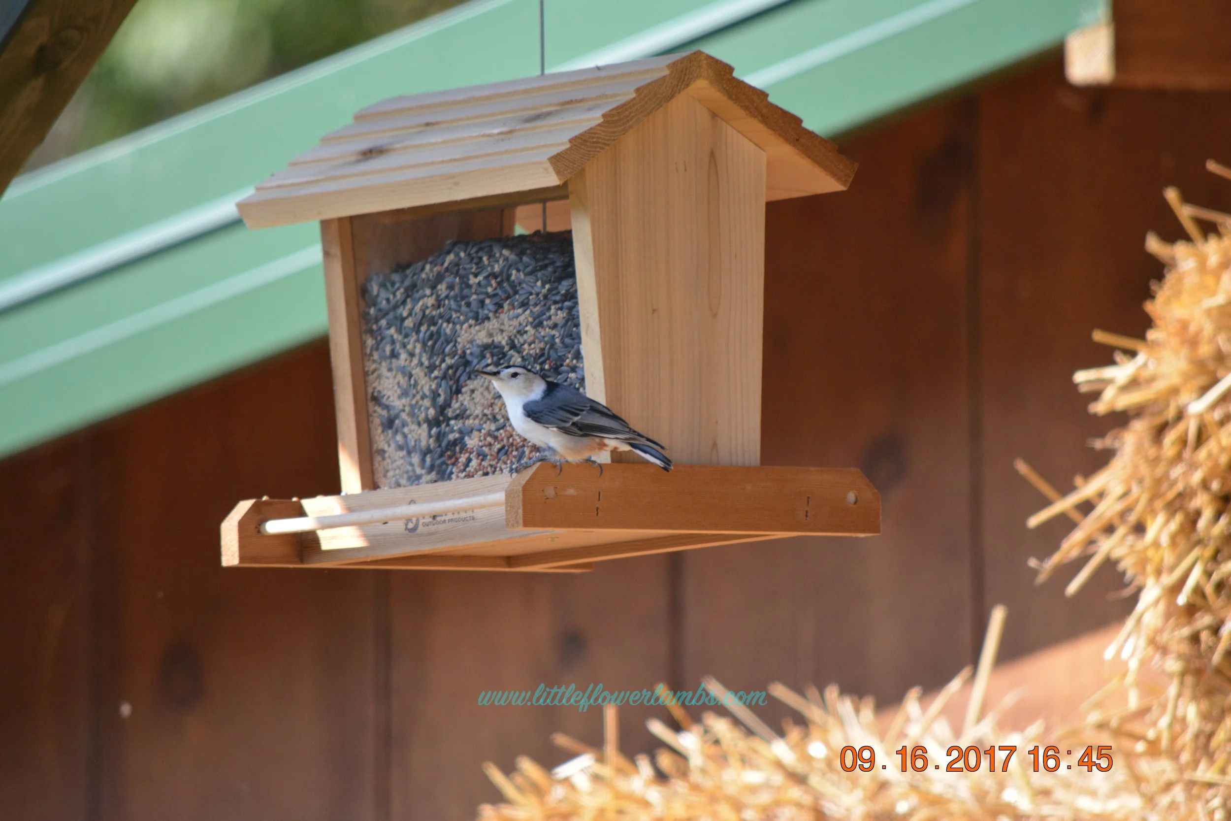 DSC_0069 2.jpg