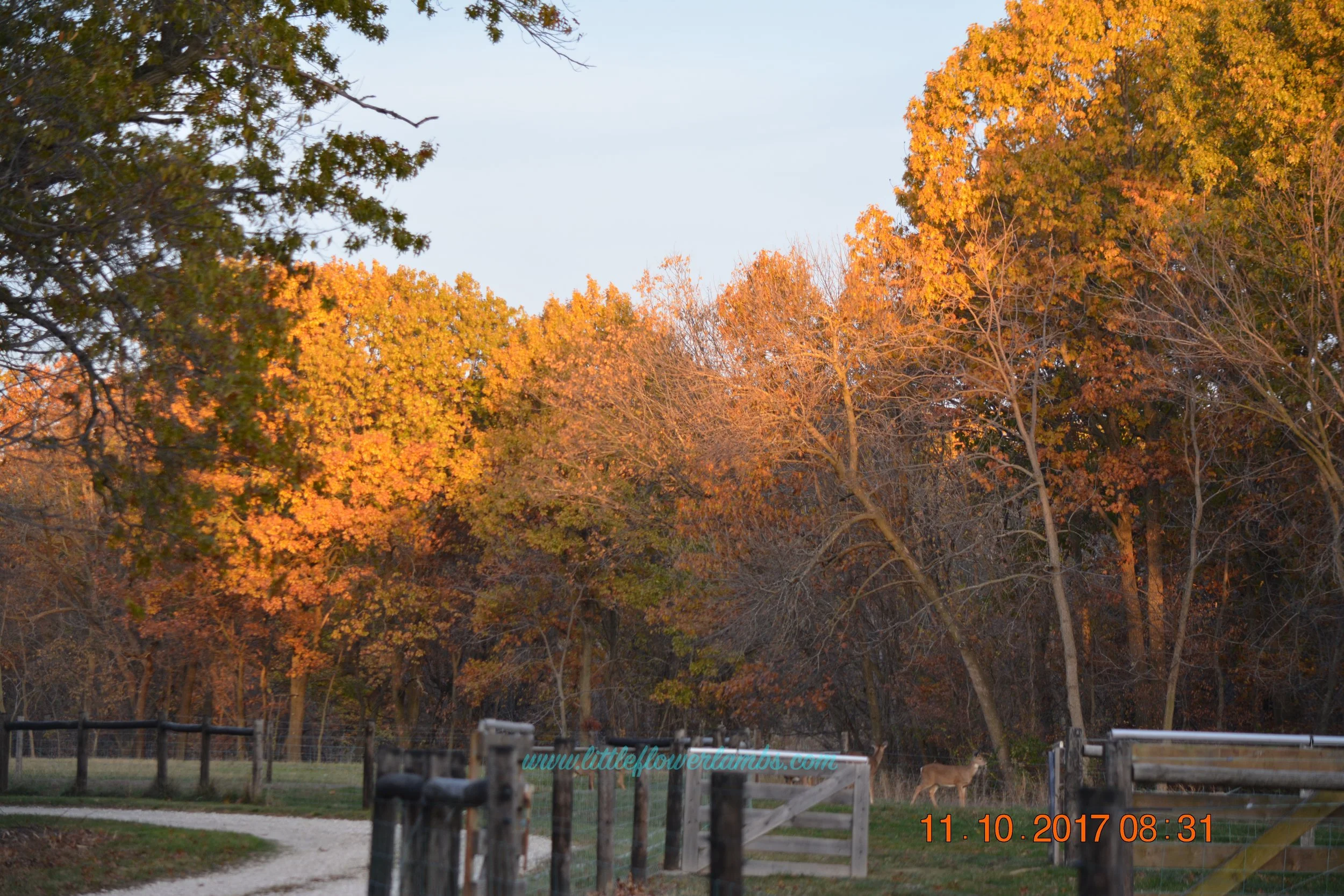 DSC_0080 4.jpg