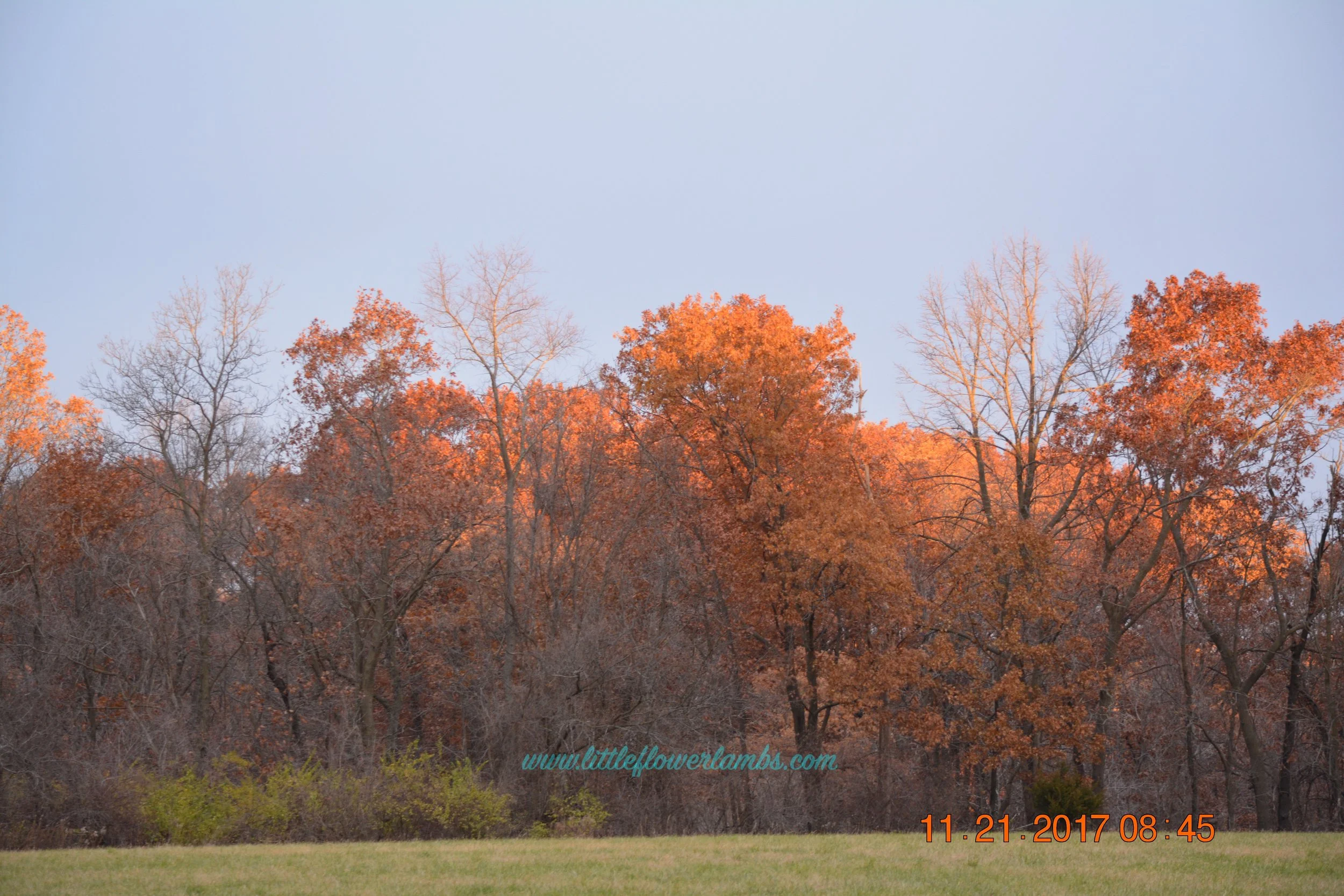 DSC_0215 3.jpg