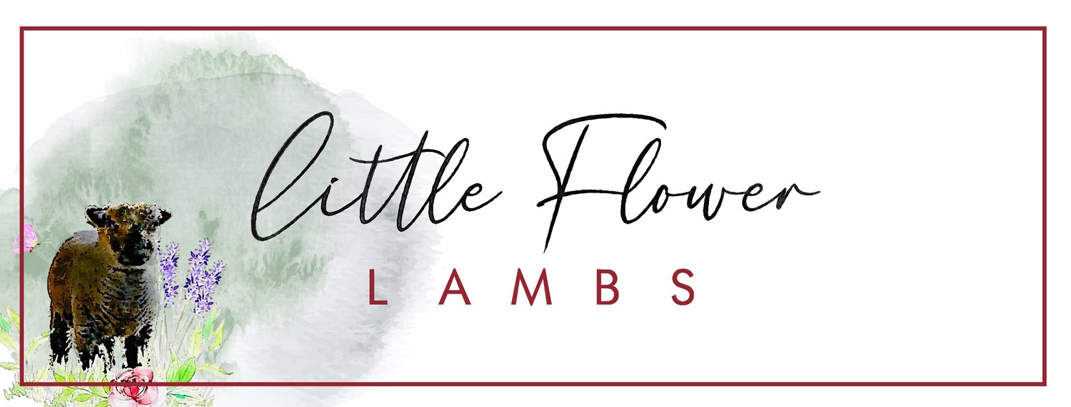 Little Flower Lambs 