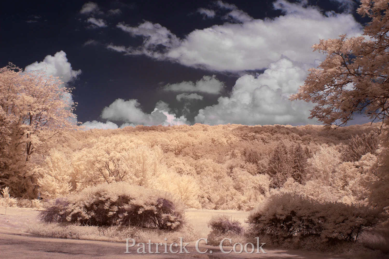 IR7_0795_PS_PatrickCook.jpg