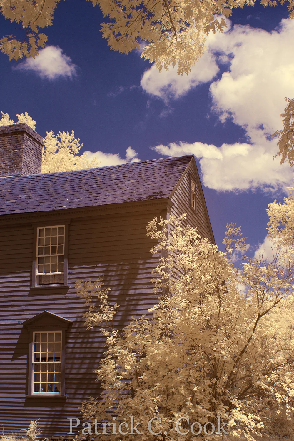 IR7_0789_PS_PatrickCook.jpg