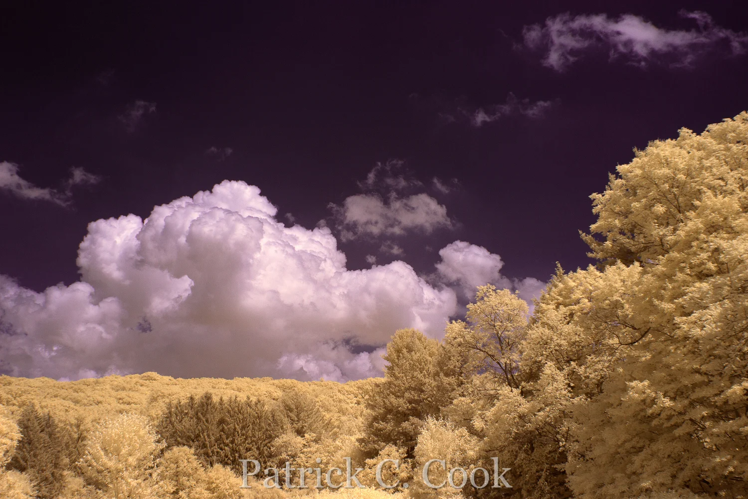 IR7_0809_2_PS_PatrickCook.jpg