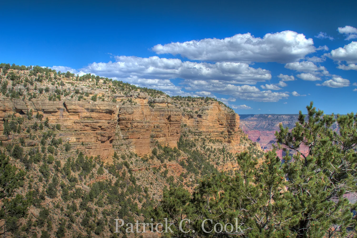 HDR_04555657_PatrickCook.jpg