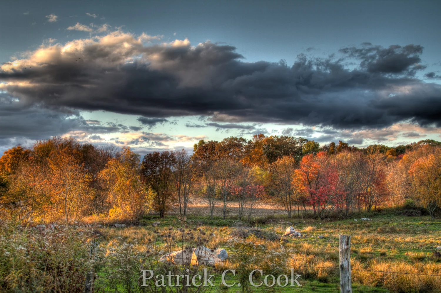 HDR_34111213_PatrickCook.jpg