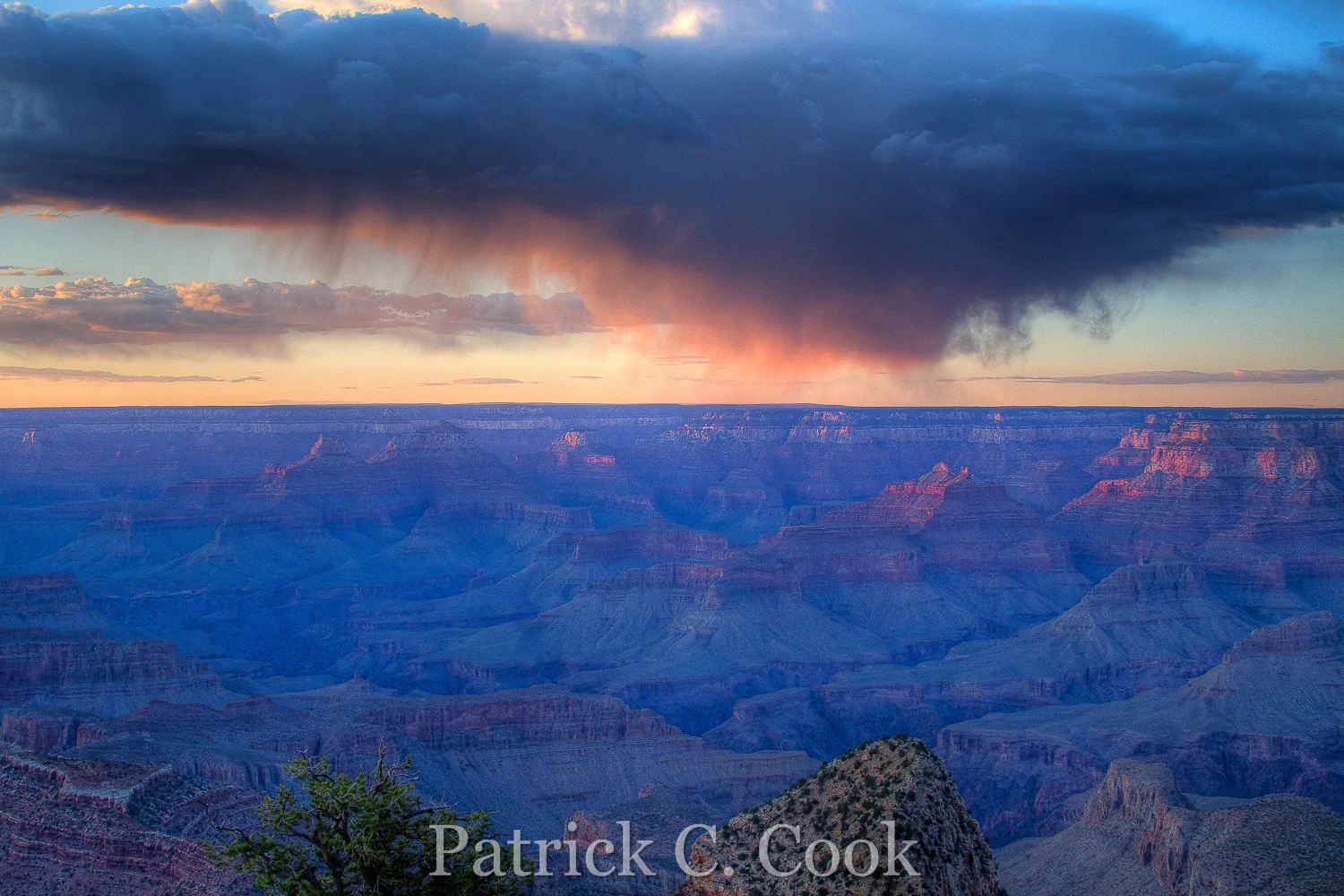 HDR_76525354_PatrickCook.jpg