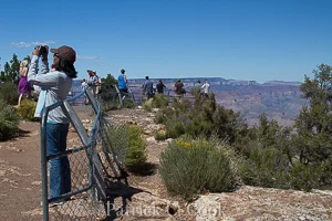 IMG_8018.jpg