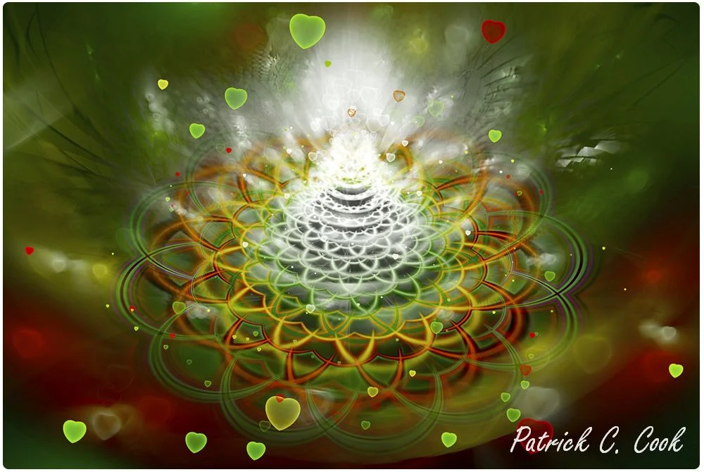 Flower7 Full Size Web Image.jpg