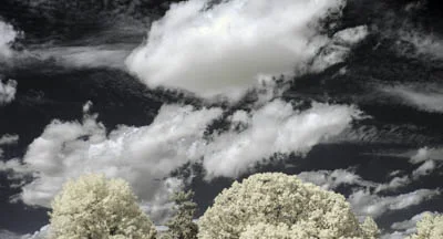 IR7_1159_PS_PatrickCook.jpg