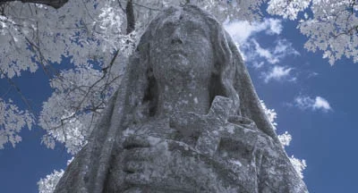 IR7_2409.jpg