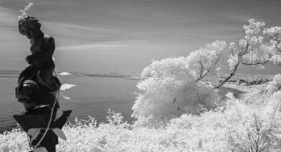 IR7_4198.jpg