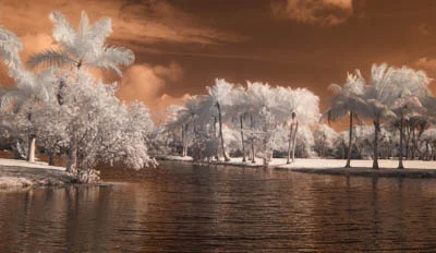 IR7_4951.jpg