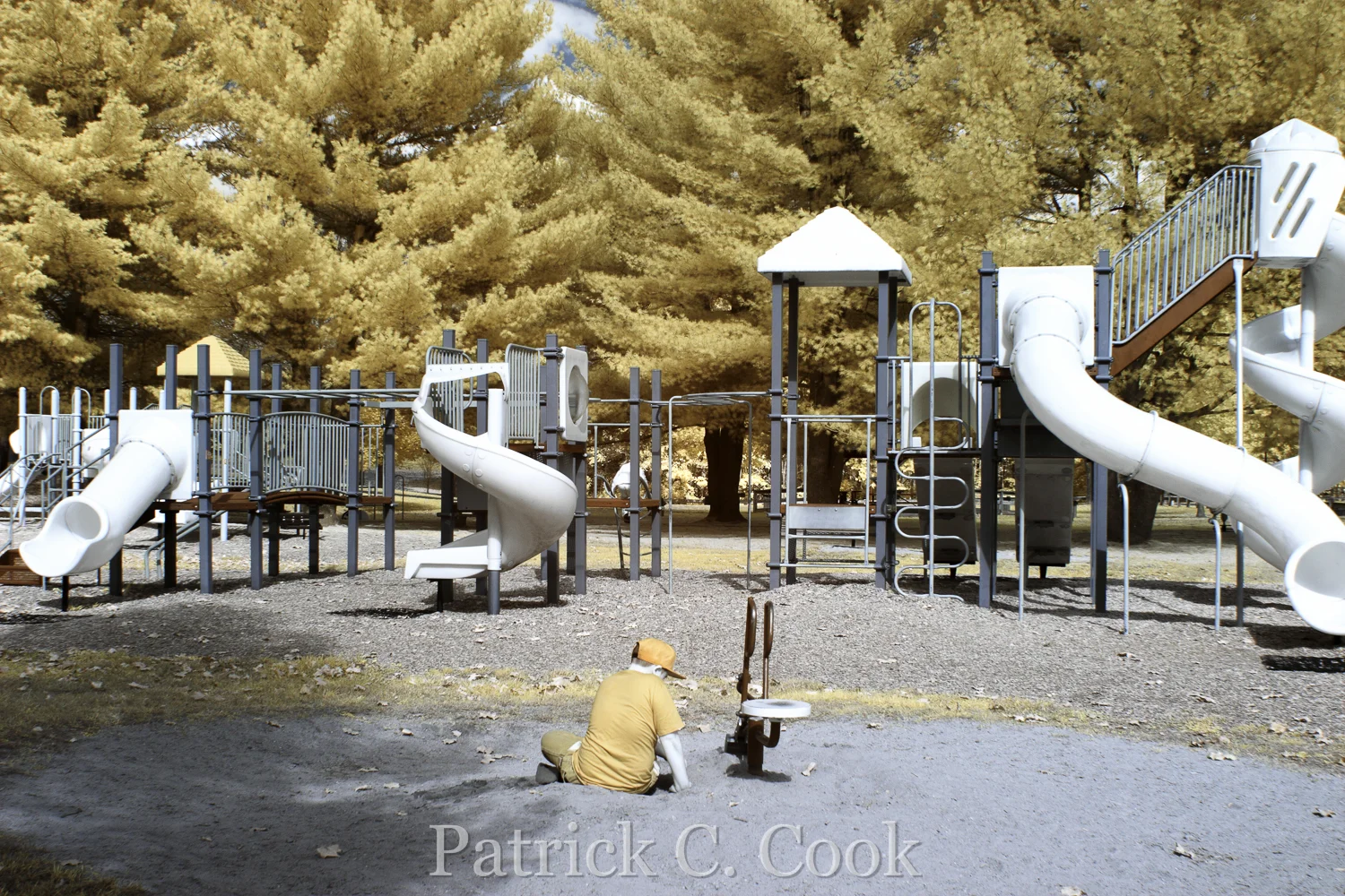 IR7_1714_PS_PatrickCook_PatrickCook.jpg